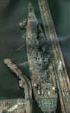 Panama Canal 2.jpg (34105 bytes)
